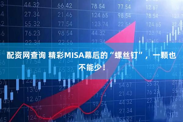 配资网查询 精彩MISA幕后的“螺丝钉”，一颗也不能少！