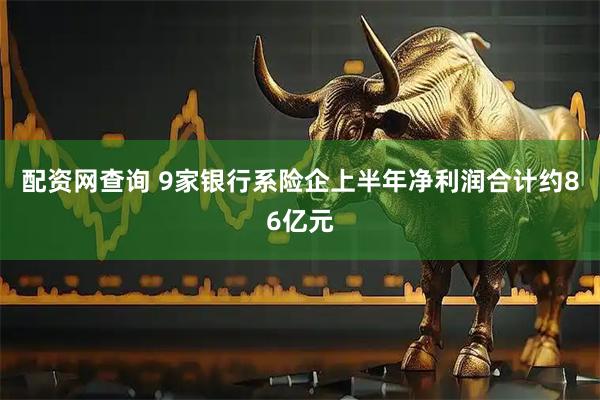 配资网查询 9家银行系险企上半年净利润合计约86亿元